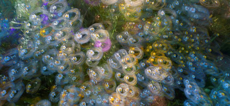 Styl’Editions offre con la serie Figurativo varie carte da parati, che si differenziano per la forte originalità e libertà espressiva..